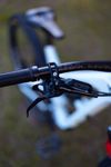 YT Jeffsy CF Pro 29 L