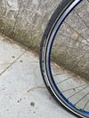 Trekingove kolo Wheeler Cross 46