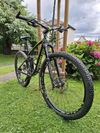 Leader Fox Harper 2019, 29", rám ALU 16"