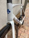 Colnago V5Rs - 2025 / Campagnolo WRL / TOP