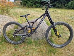 Specialized DEMO Race