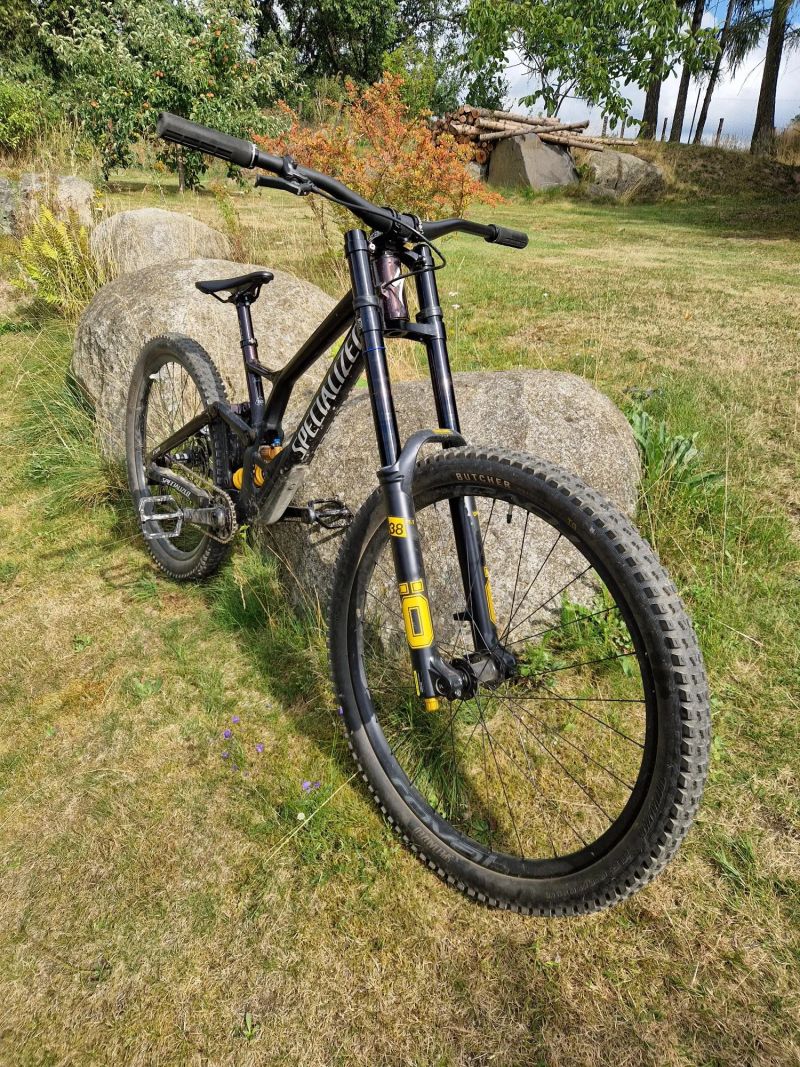Specialized DEMO Race