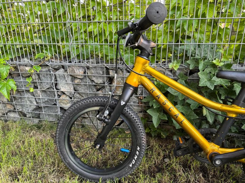 Prodám Rascal 14 (zlatá barva)
