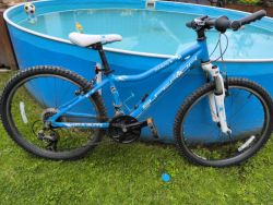 Superior 24"