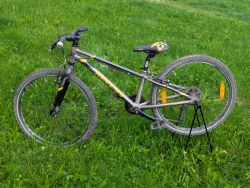 Kellys Kitter 24" (7-9 let)