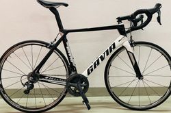 Gavia Imperiale SR1 