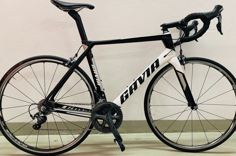 Gavia Imperiale SR1 