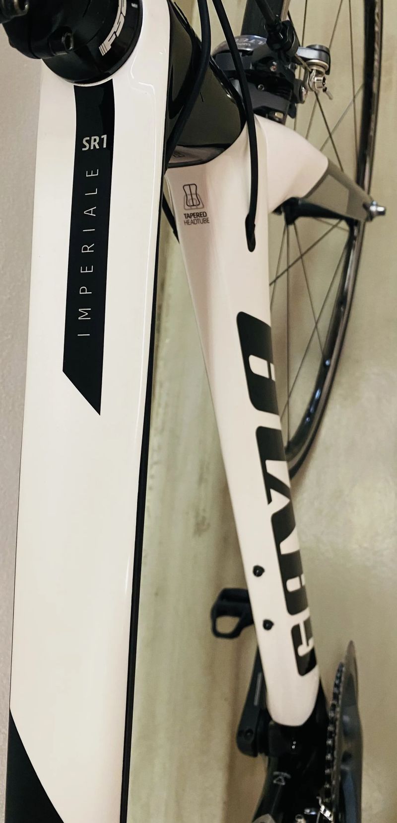 Gavia Imperiale SR1 