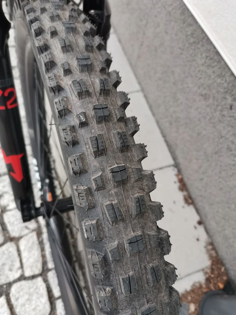 Gt sensor carbon elite 29