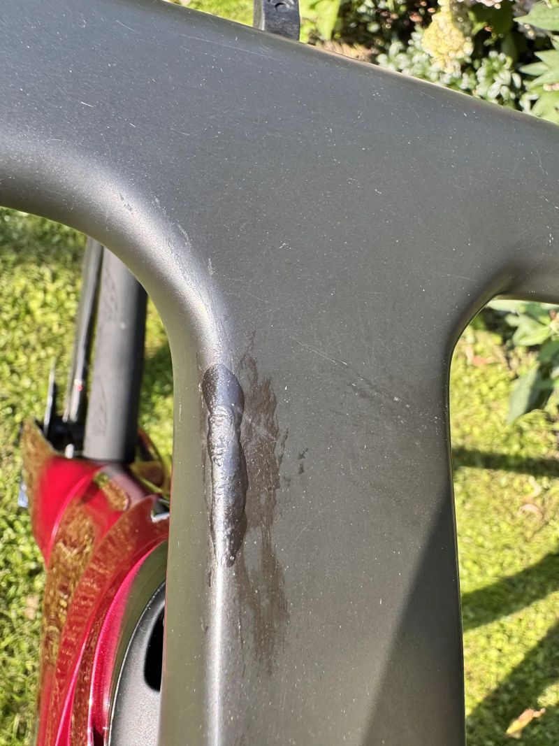 Trek Emonda SLR 7 2021
