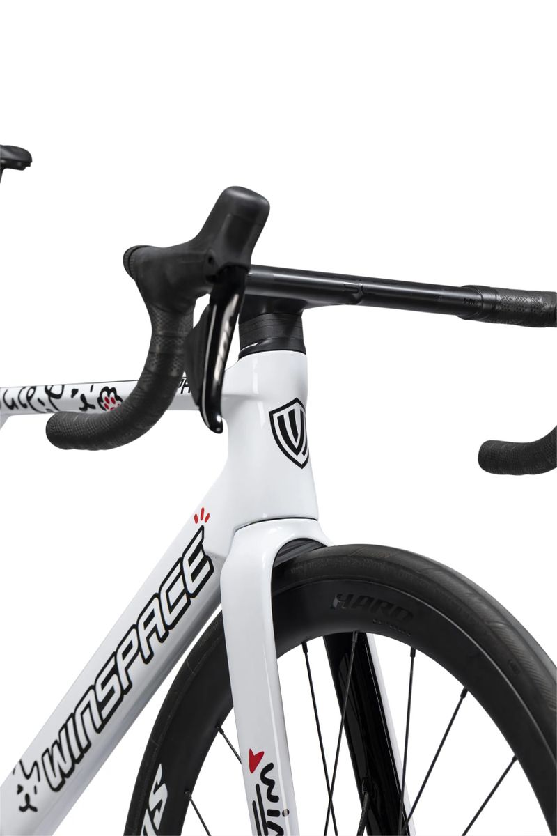 Winspace C5 Aero - Shimano 105 Di2, celokarbon