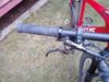 Focus Raven 8.8