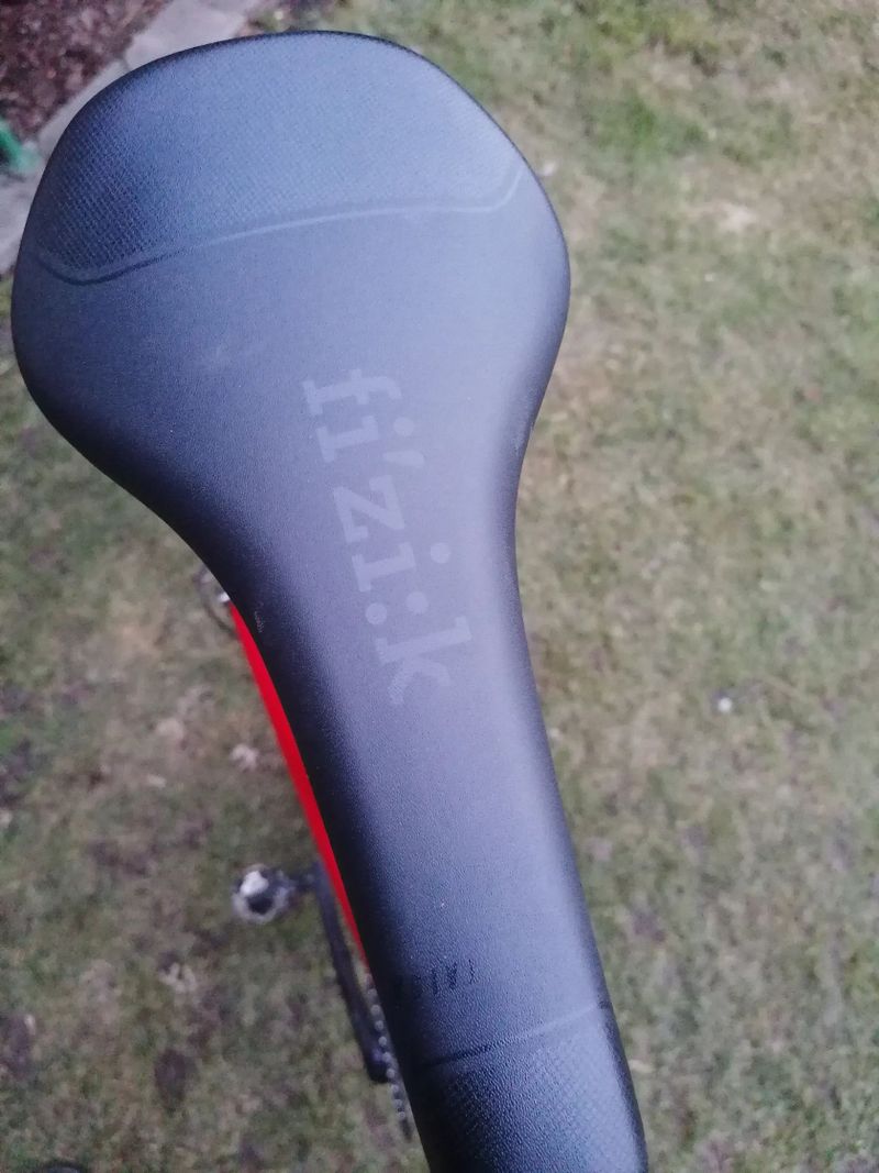 Focus Raven 8.8