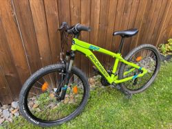 Rockrider 100
