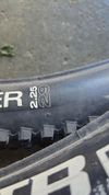 WTB Ranger 
