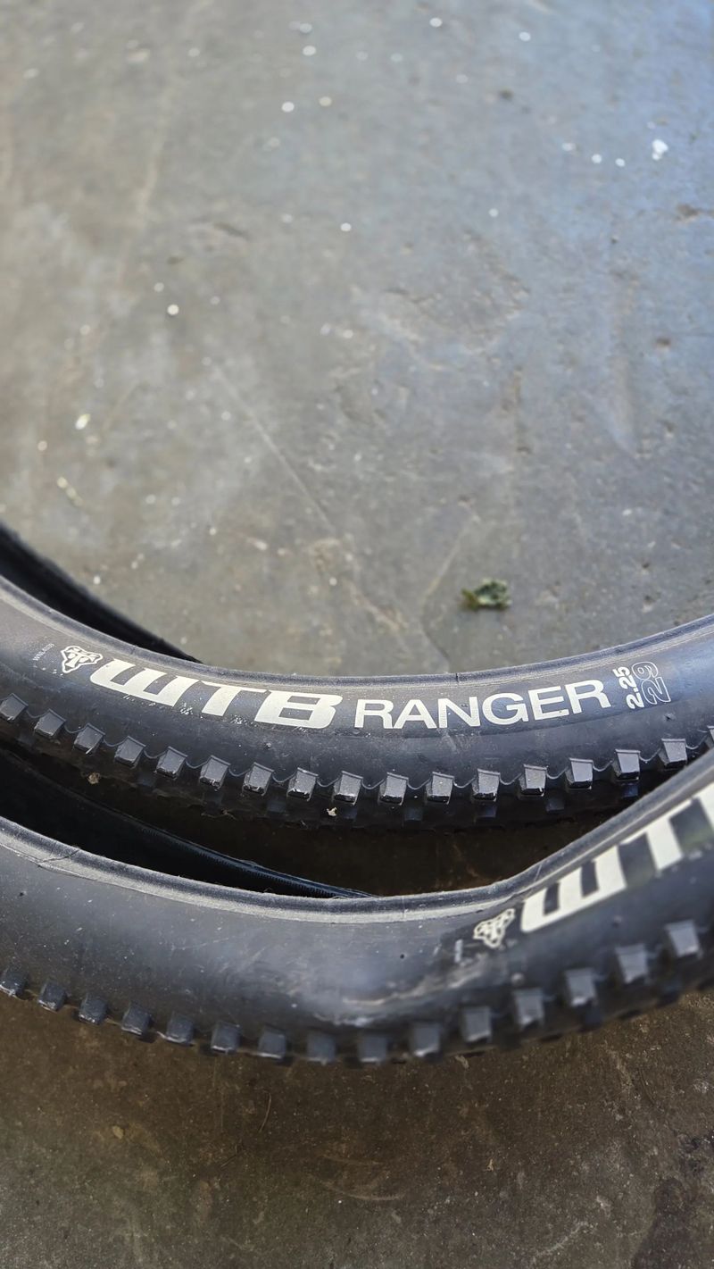 WTB Ranger 