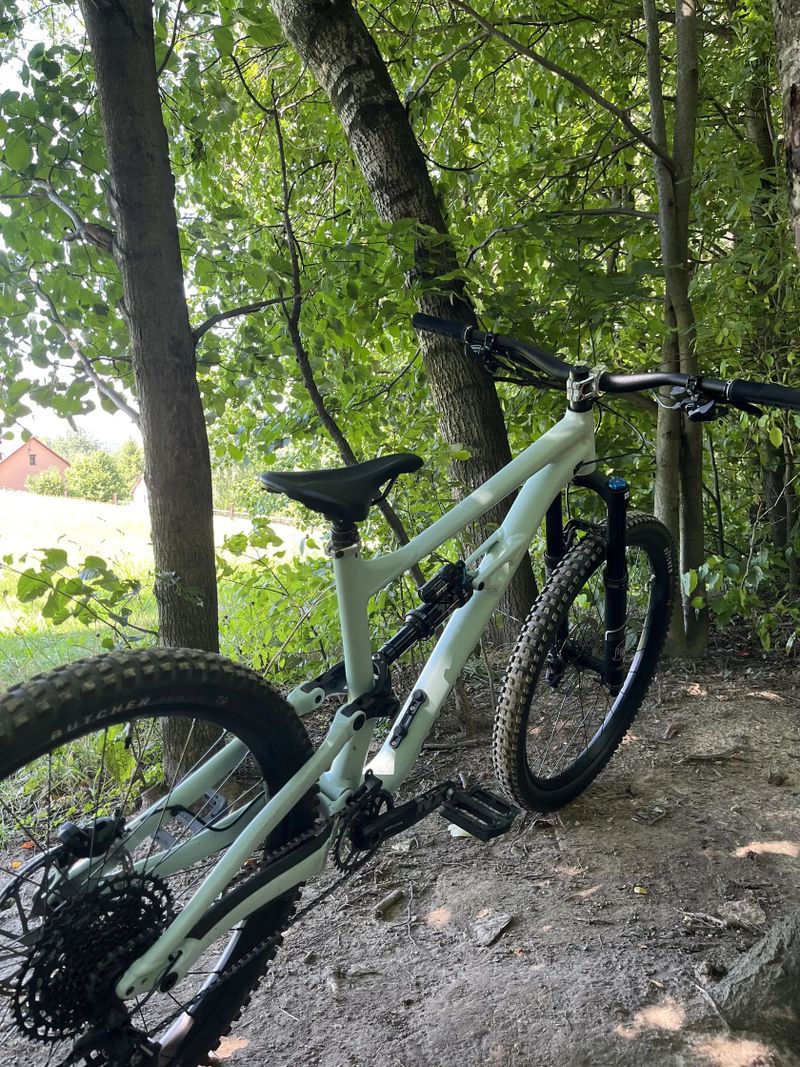 Specialized Status 160