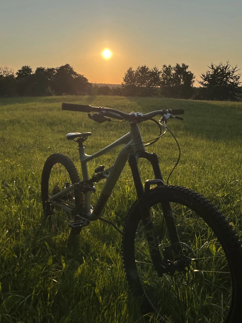 Specialized Status 160