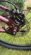 Scott Contessa 26 DISC
