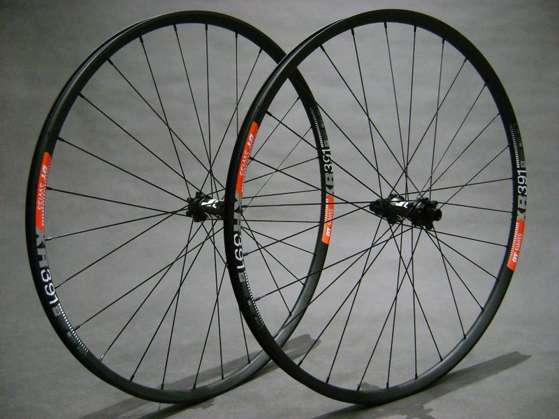 DT XR 391 x SAS (1570g)