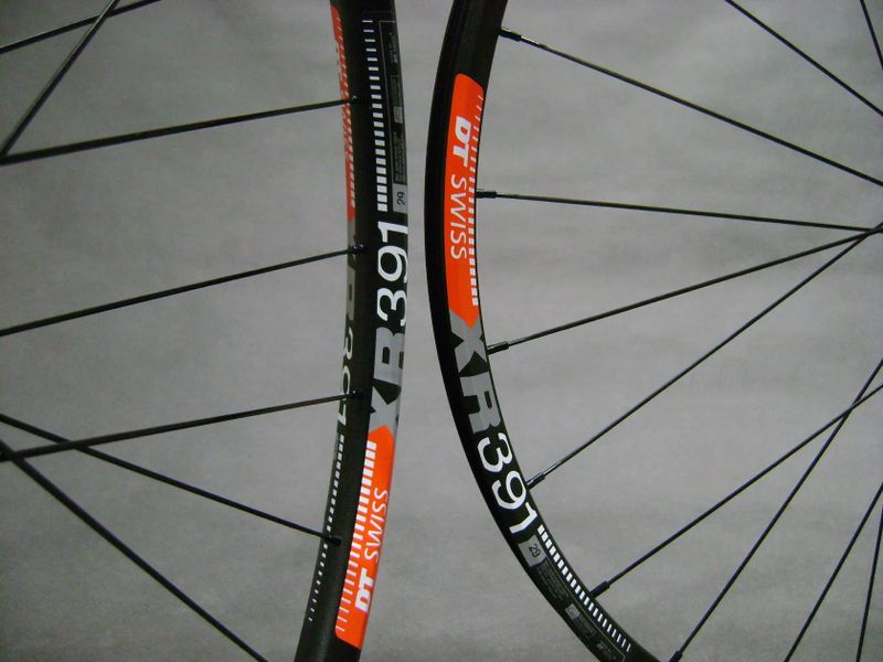 DT XR 391 x SAS (1570g)