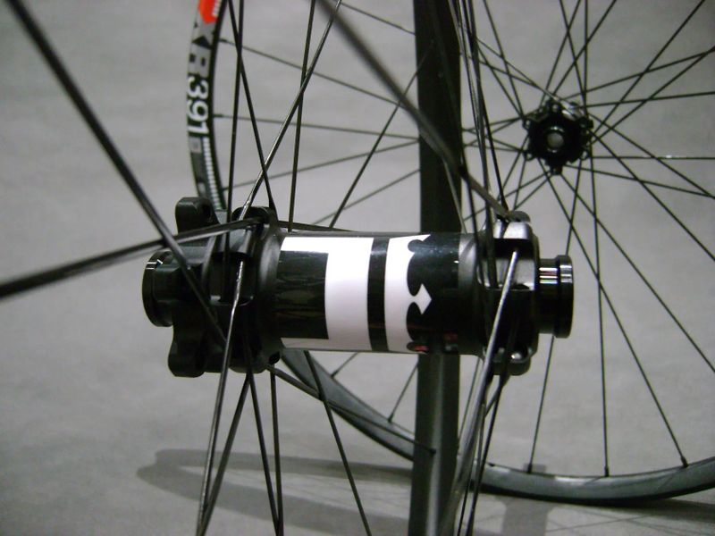 DT XR 391 x SAS (1570g)