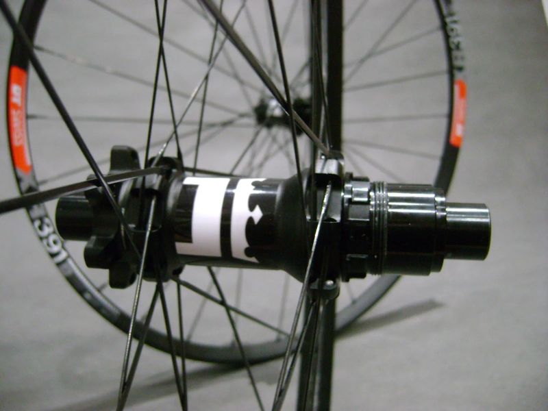 DT XR 391 x SAS (1570g)