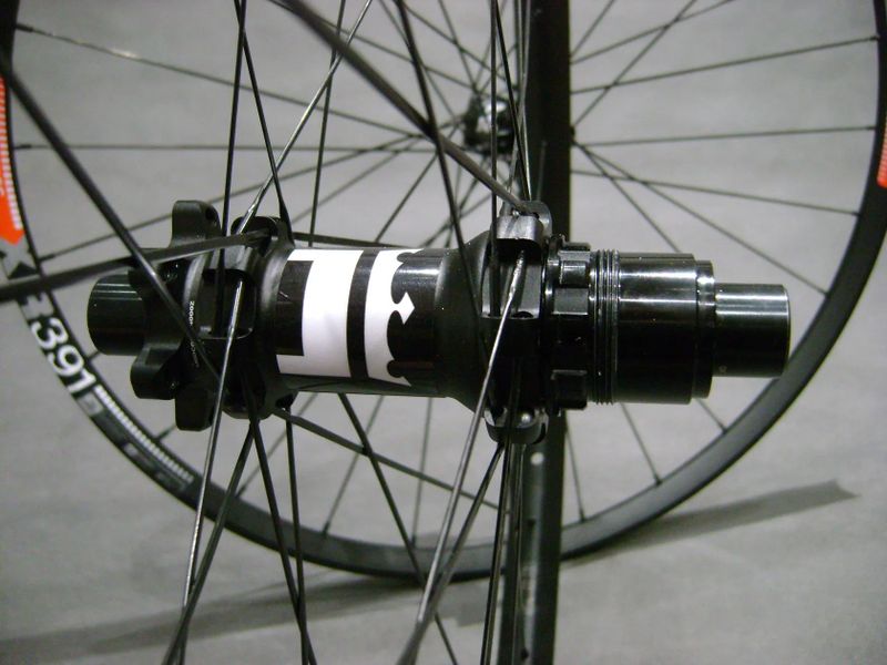 DT XR 391 x SAS (1570g)