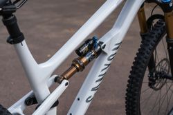 Canyon Spectral 125