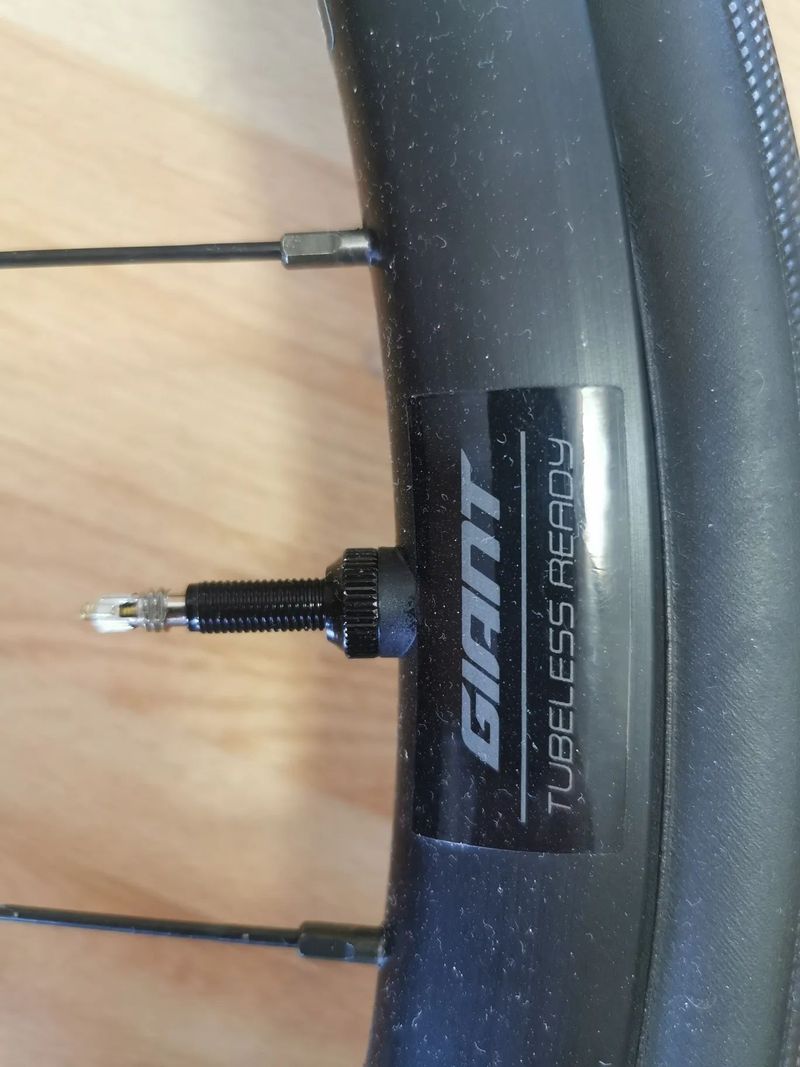 Zapletená kola Giant PR2 Disc