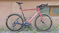 Focus Izalco Max 9.6 (2021), Ultegra Di2, vel.58