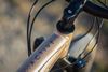 Scott Contessa 20 Active (2021)