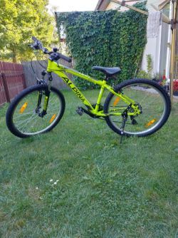 Dětské horske kolo Alpine eco xs