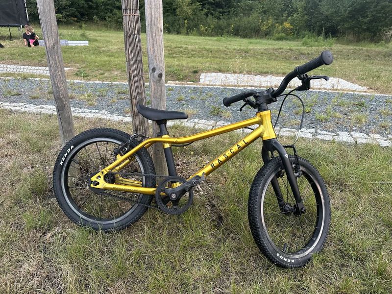 Rascal 16