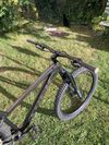 Trek Roscoe 7