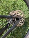 Trek Roscoe 7