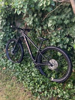 Trek Roscoe 7