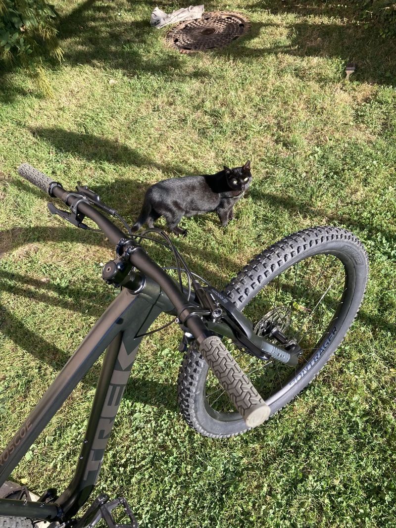 Trek Roscoe 7