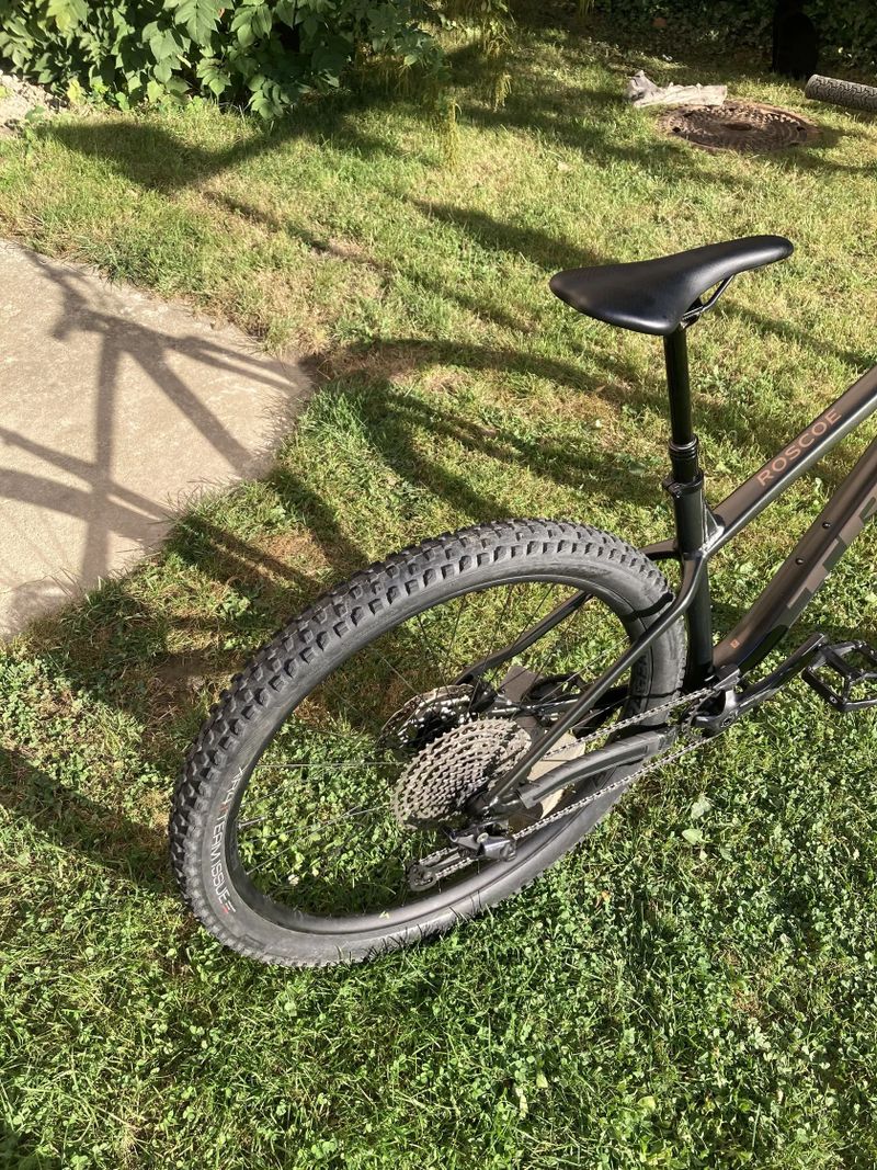 Trek Roscoe 7
