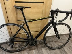 Canyon Endurace