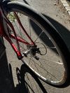Specialized Roubaix