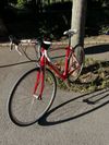 Specialized Roubaix