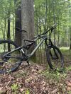 Orbea M20