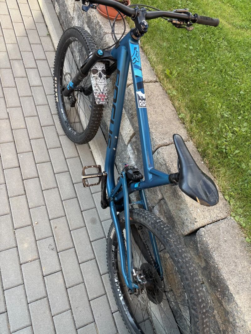 Focus jam 6.9 seven 2019