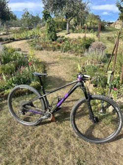 GT Zaskar Carbon Comp