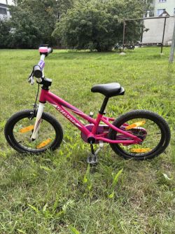 Specialized Hot rock