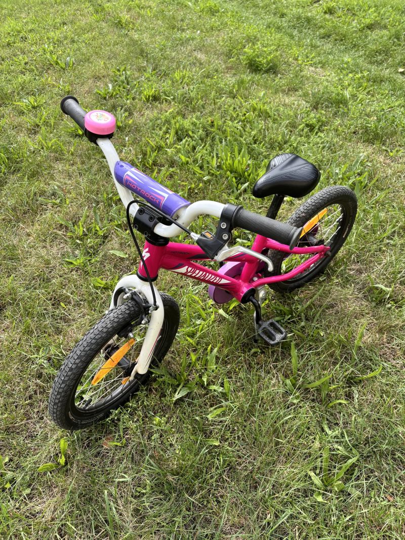 Specialized Hot rock
