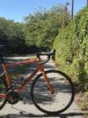 Silniční kolo | Lapierre Pulsium 5.0 | Karbon
