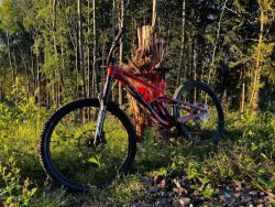 Trek Slash