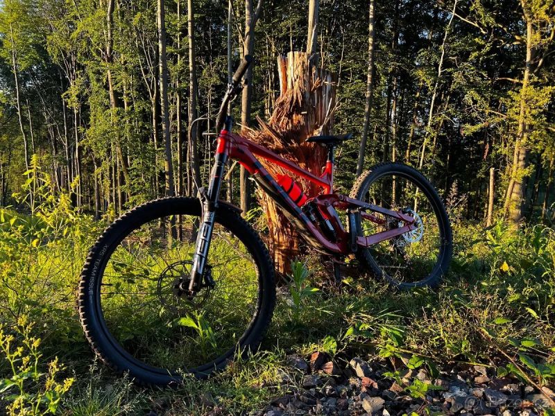 Trek Slash